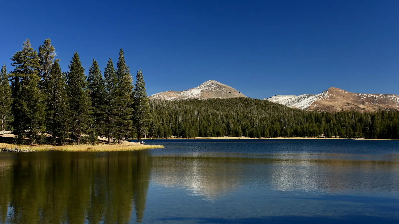 Forest and mountain slopes reflected in the still water of Dog Lake